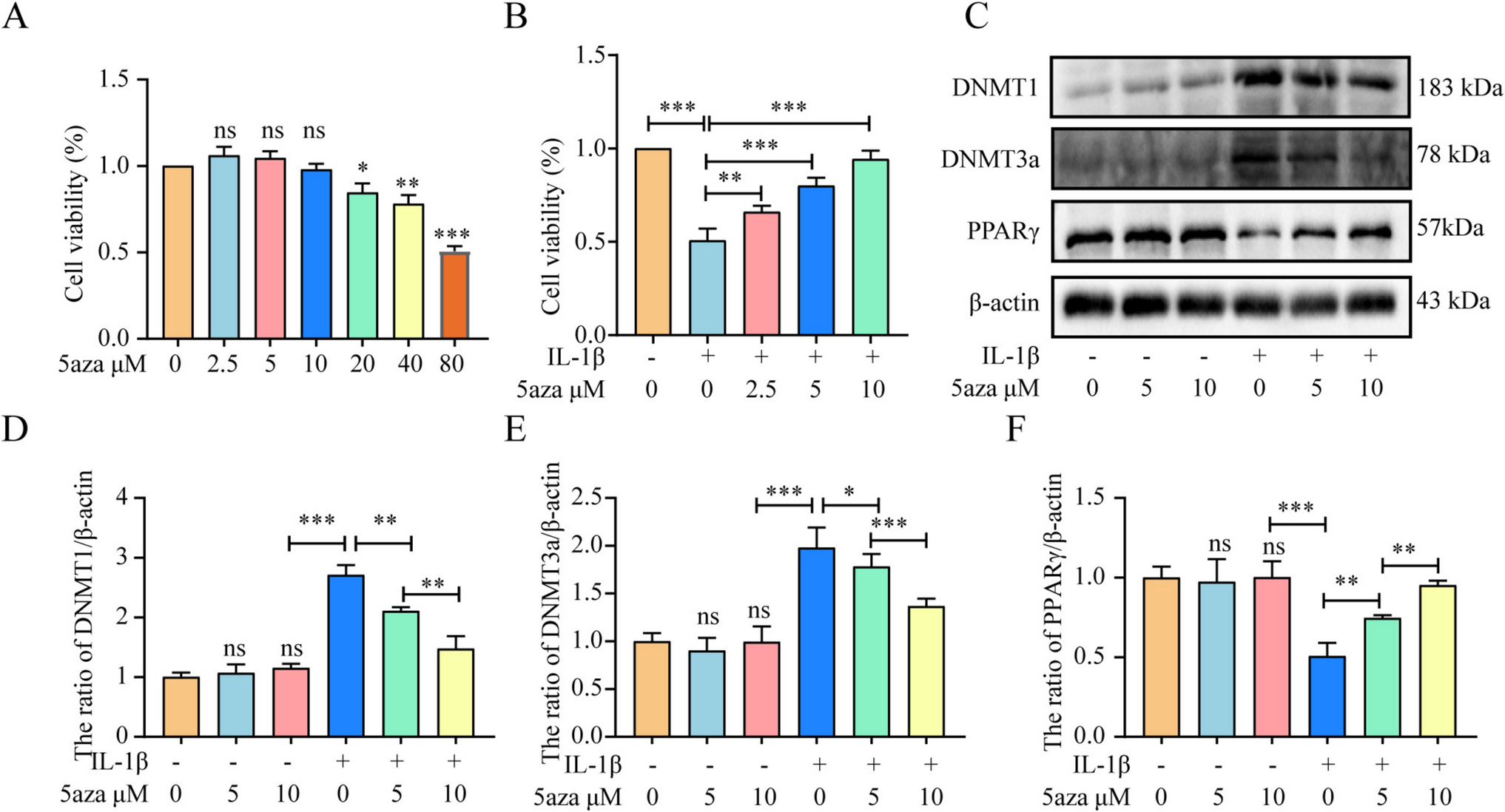 5-Azacytidine inhibits endoplasmic reticulum stress and apoptosis of nucleus pulposus cells by preserving PPARγ via promoter demethylation