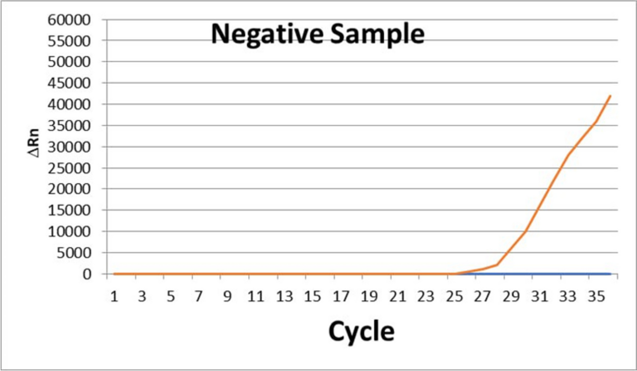 Inhibitory effects of carbohydrazide indole derivative on micro-blood vessel growth using ex vivo, in vivo, and in vitro assays