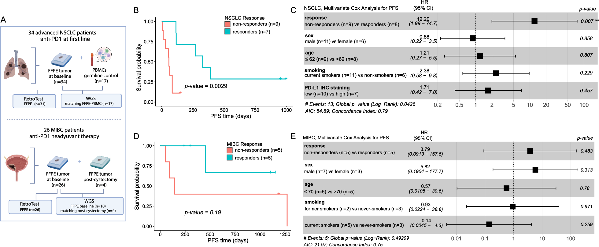 Genomics guiding personalized first-line immunotherapy response in lung and bladder tumors