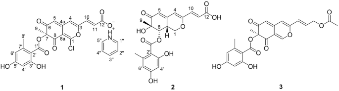 Bioactive hydrogenated azaphilones from acid-tolerant fungus Penicillium purpureum OUCMDZ-019