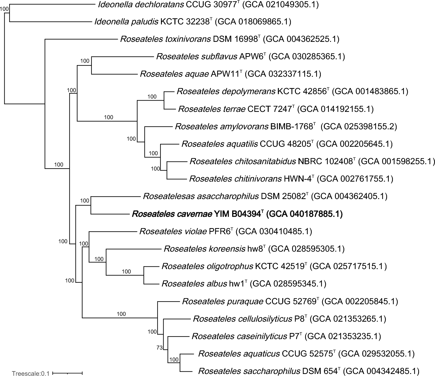 sp. nov., a Bacterium Isolated from Freshwater of the Old Huanglong Cave in Yunnan Province, South-West China
