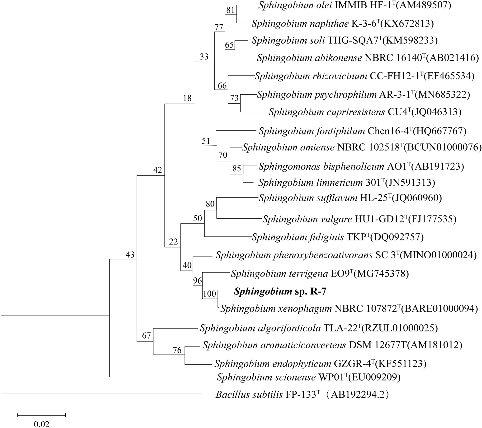 Cloning and Expression of the Isoprocarb Hydrolase Gene  from the Newly Isolated Isoprocarb-Degrading Strain  sp. R-7