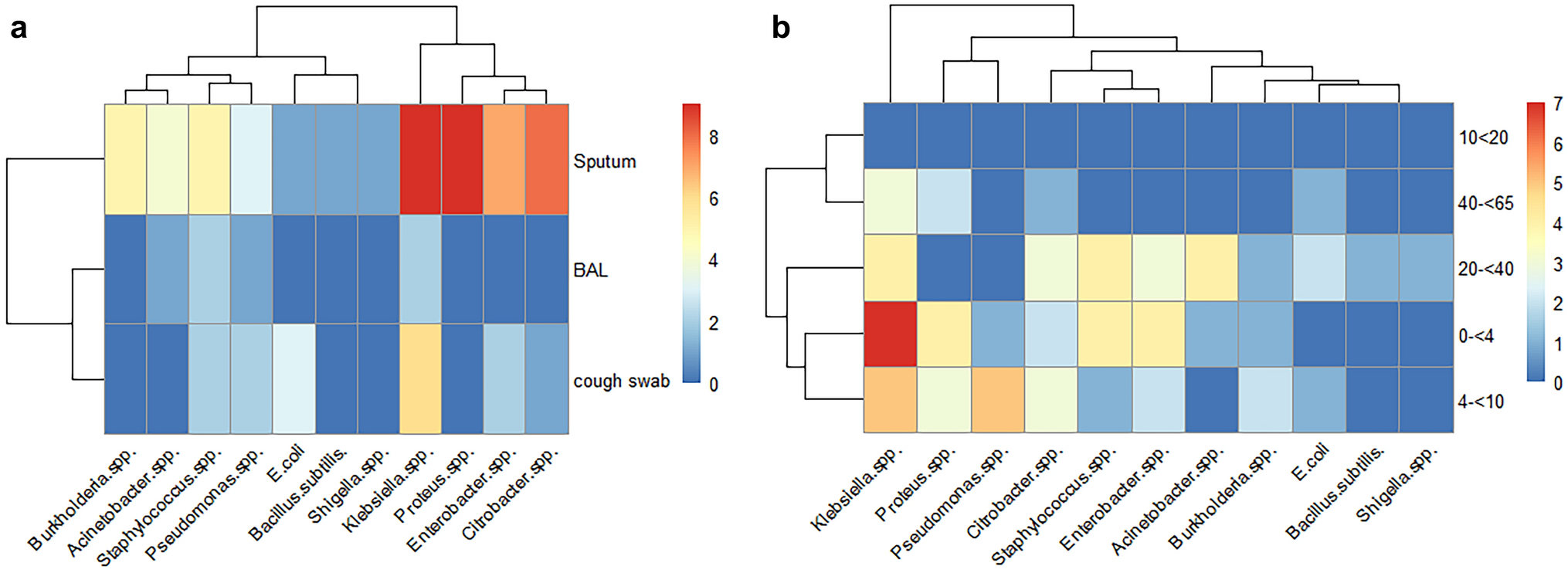 Pathogen Partnerships or Power Struggles? , and  Dynamics in Cystic Fibrosis