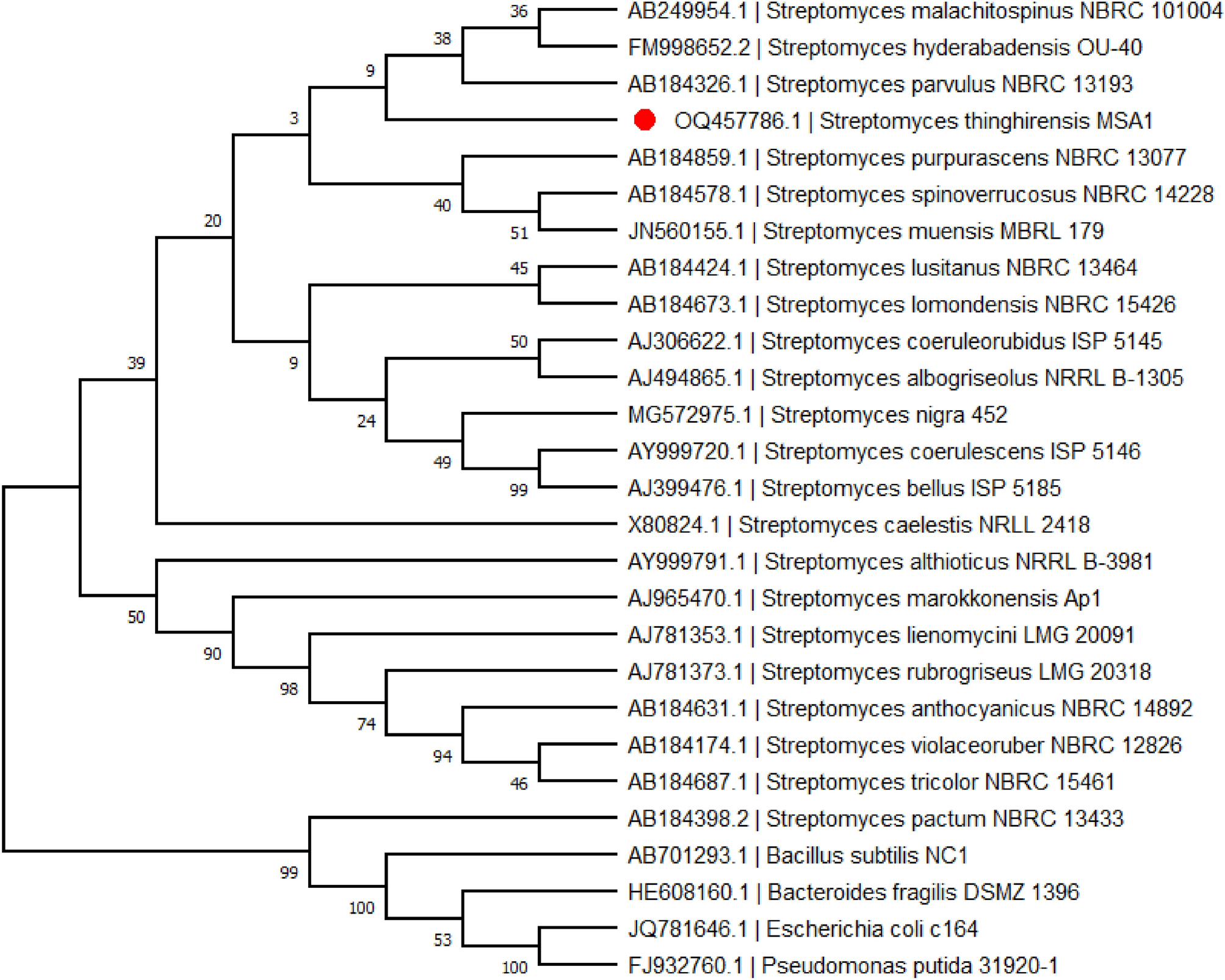 Bioactive Fraction of  MSA1 Effectively Inhibits Biofilm Forming Clinically Significant AMR Pathogens