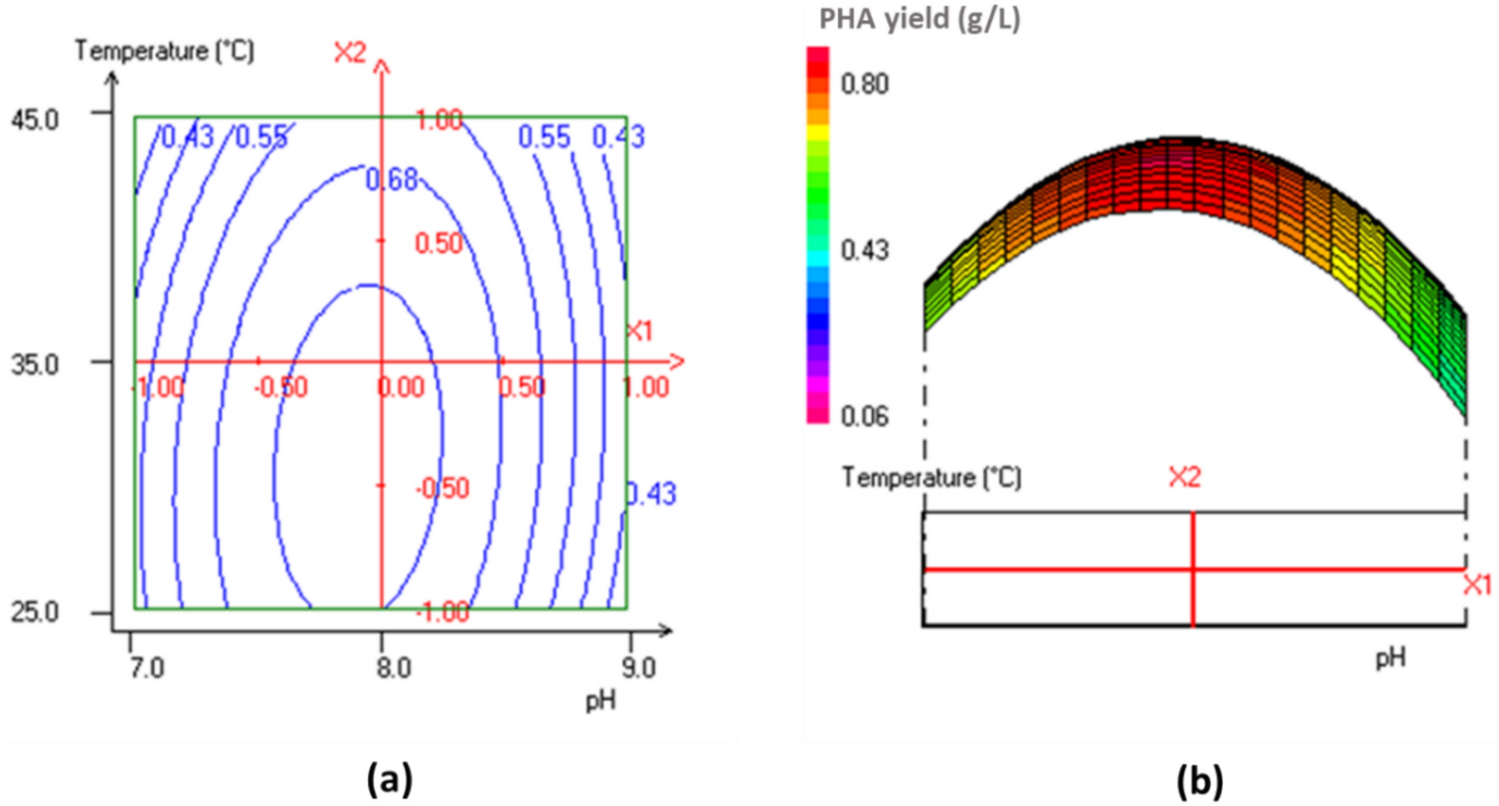 Experimental and Computational Insights into Polyurethane Plastic Waste Conversion to Microbial Bioplastic