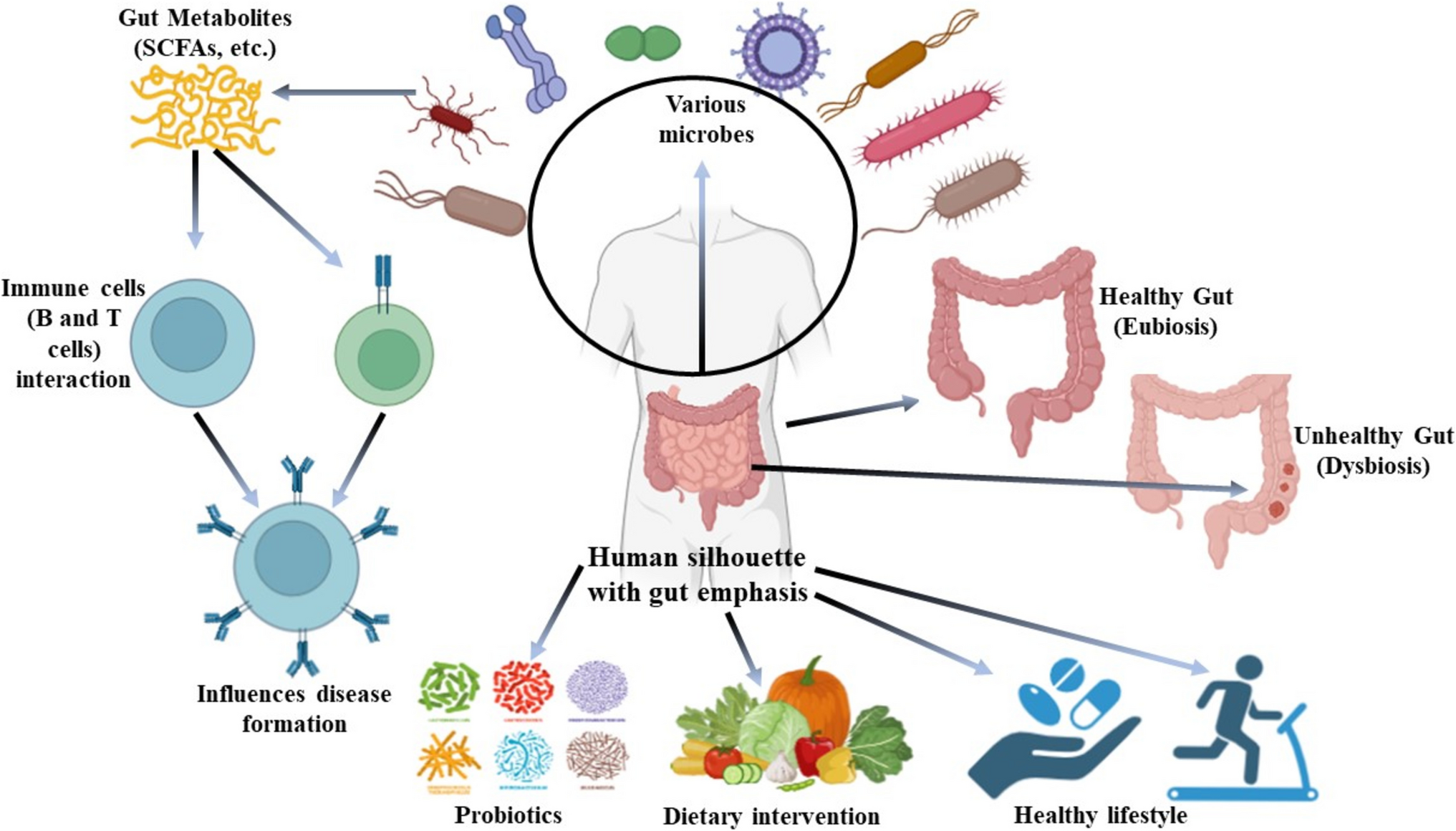 From Gut to Glory: Unveiling the Microbiome’s Impact on Human Health