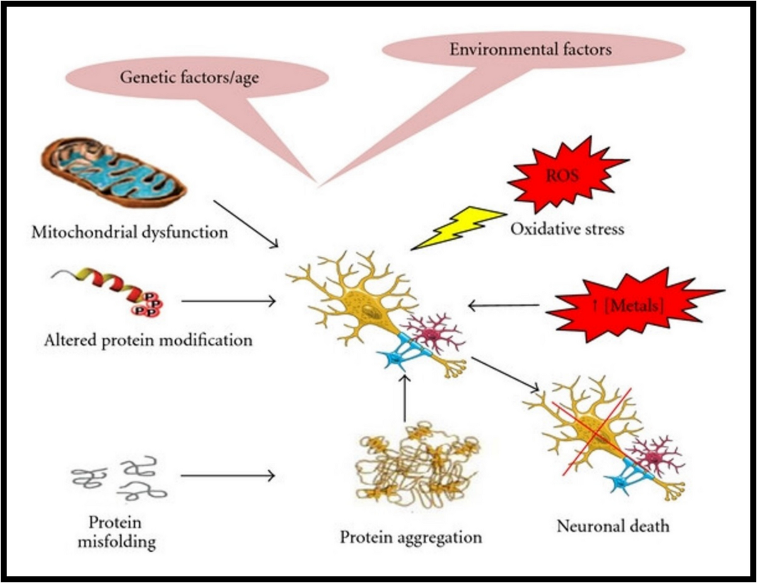 Role of Electrospun Conductive Polymeric Nanofibers for Inducing Neuronal Tissue Regeneration—A Novel Strategy for Targeting Neurodegenerative Disorders