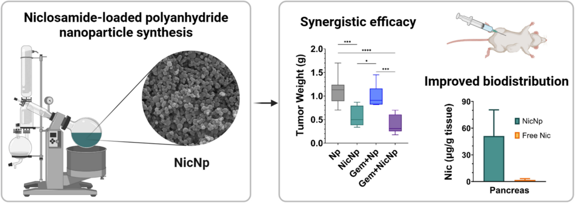 Niclosamide-Loaded Polyanhydride Nanoparticles to Combat Gemcitabine Resistance in Pancreatic Cancer