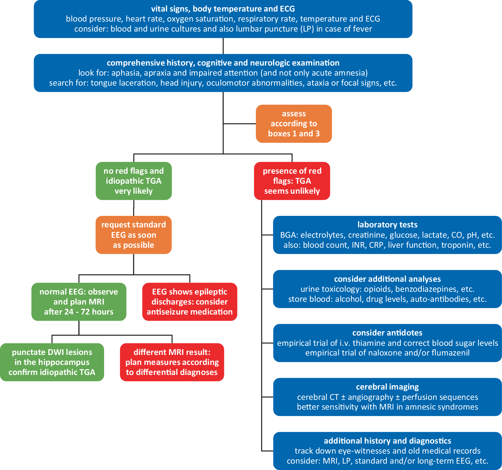Transient global amnesia increases the risk of epilepsy: true or false?