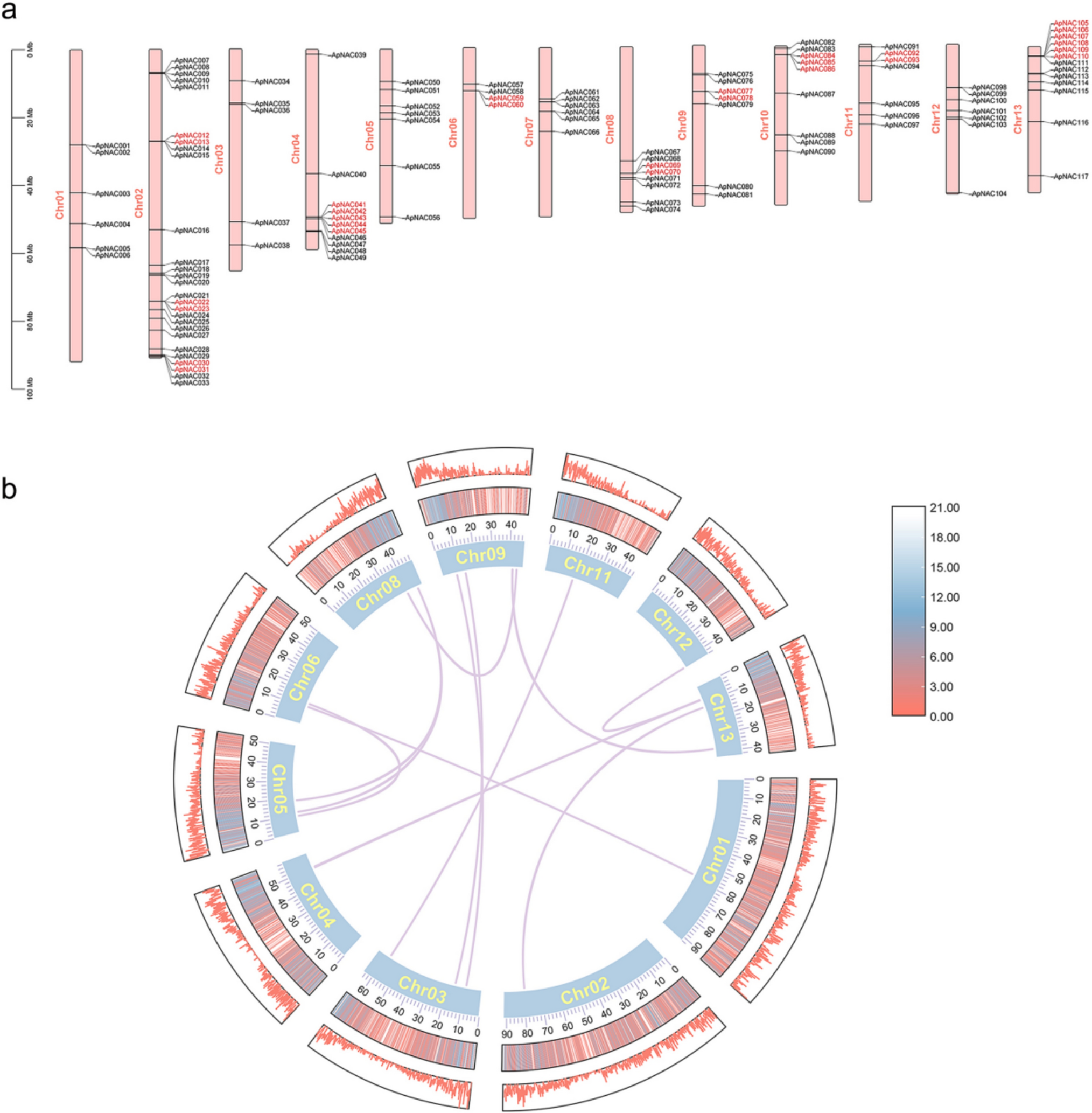 Genome-wide identification of NAC transcription factors in  and their expression dynamics during leaf aging