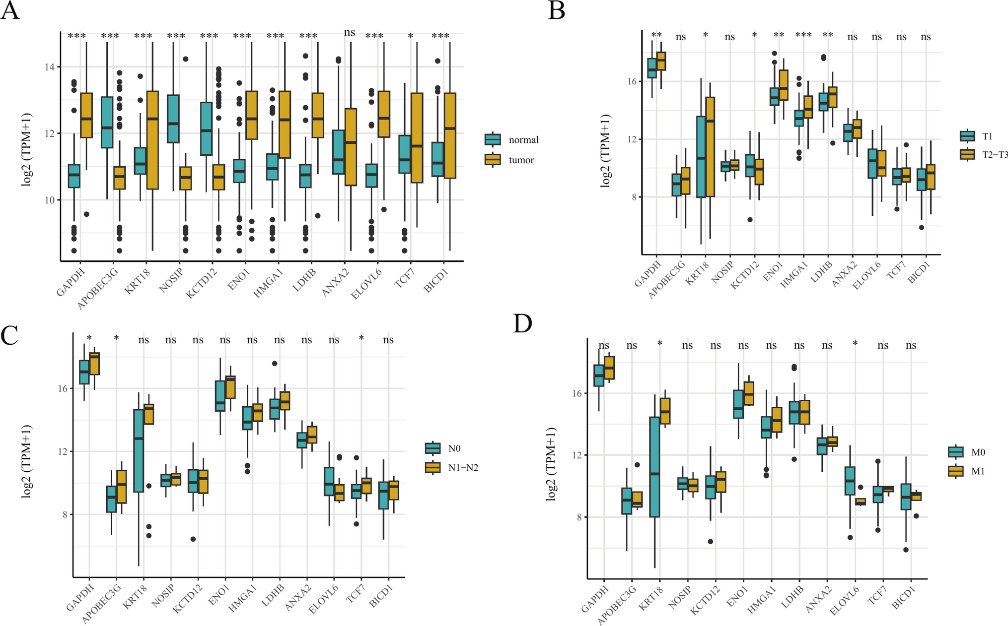 RNA-binding protein expression based machine learning model predicts metastasis and treatment outcome of testicular cancer