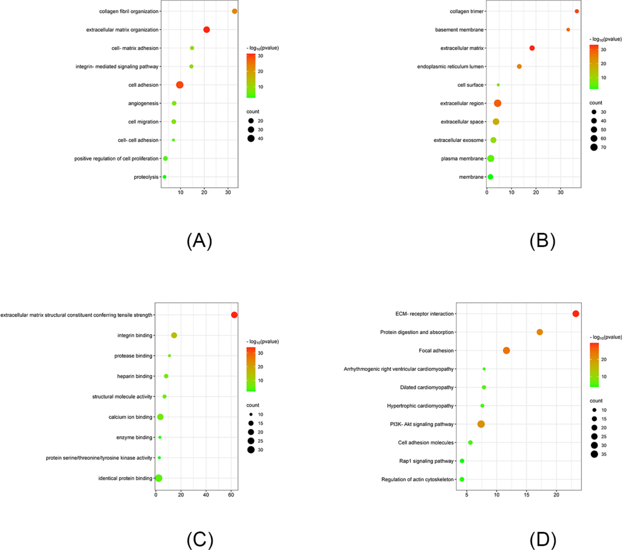 Whole exome sequencing of 80 cases of sporadic mitral valve prolapse reveals novel disease-associated genes and variants in a Southern Chinese population
