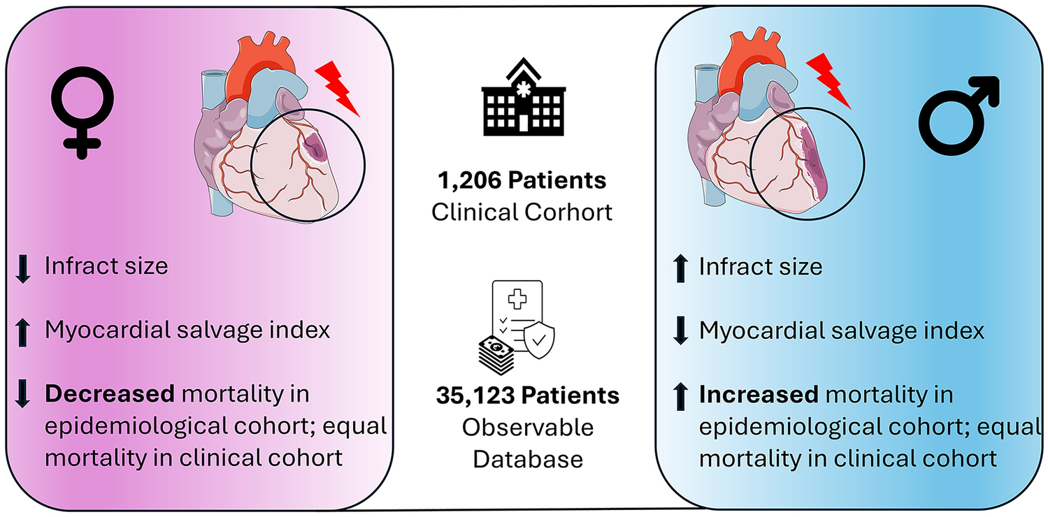 Sex-specific outcomes in myocardial infarction: a dual-cohort analysis using clinical and real-world data