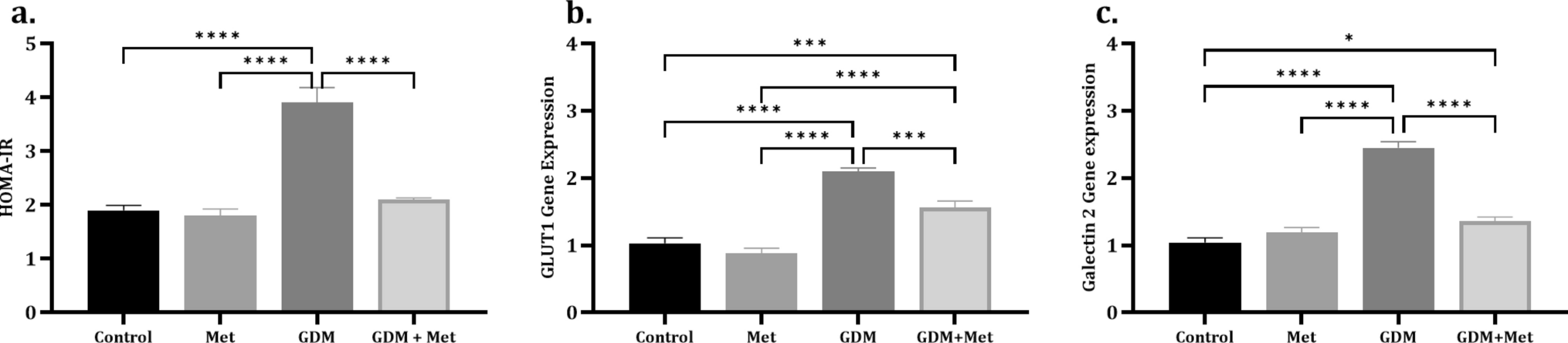 Modulation of placental angiogenesis by metformin in a rat model of gestational diabetes