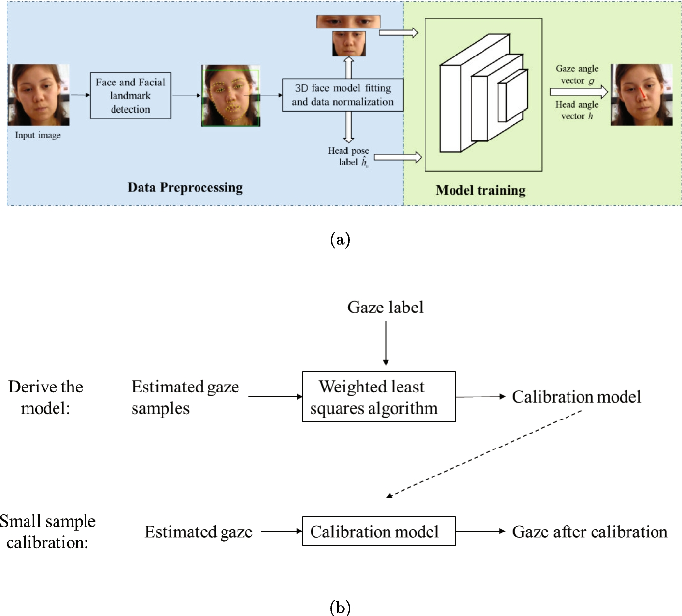 Free-Head Gaze Estimation with Deep Learning