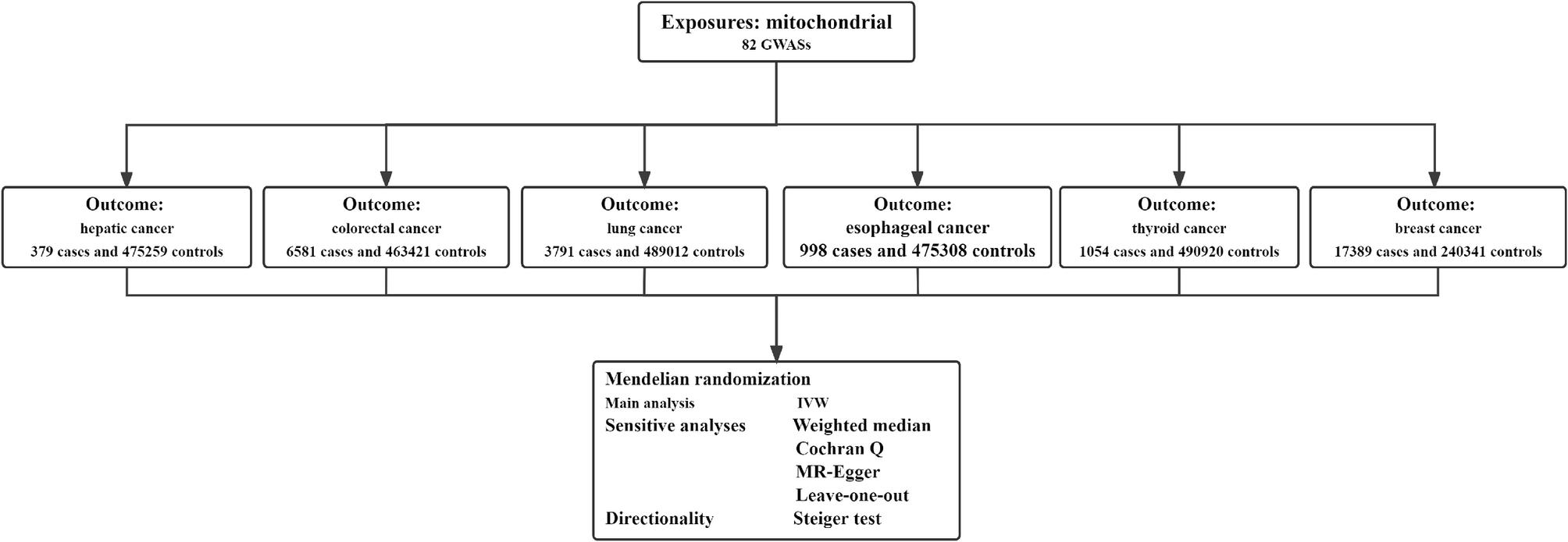 The causal relationships between mitochondria and six types of cancer: a Mendelian randomization study