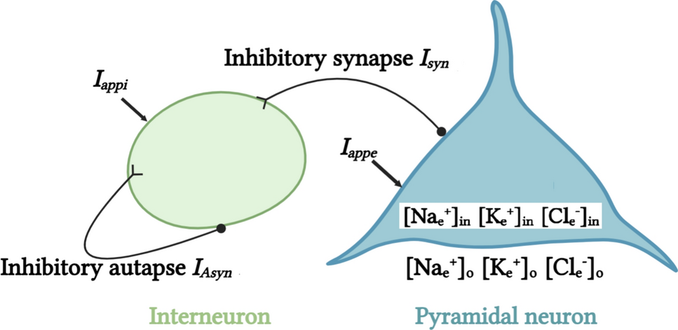 Uncommon and common roles of inhibitory interneuron and autapse and their cooperations to induce or eliminate epileptiform firing of pyramidal neuron