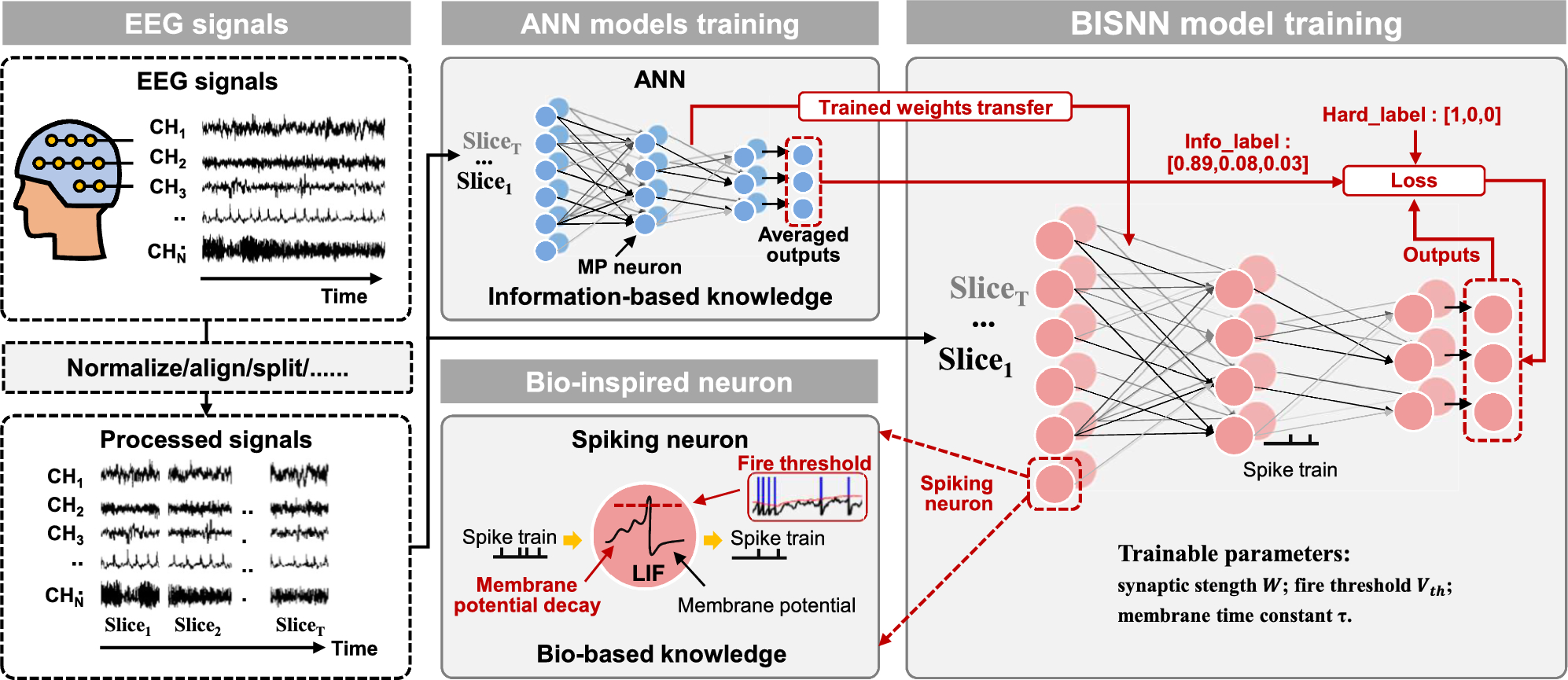 BISNN: bio-information-fused spiking neural networks for enhanced EEG-based emotion recognition