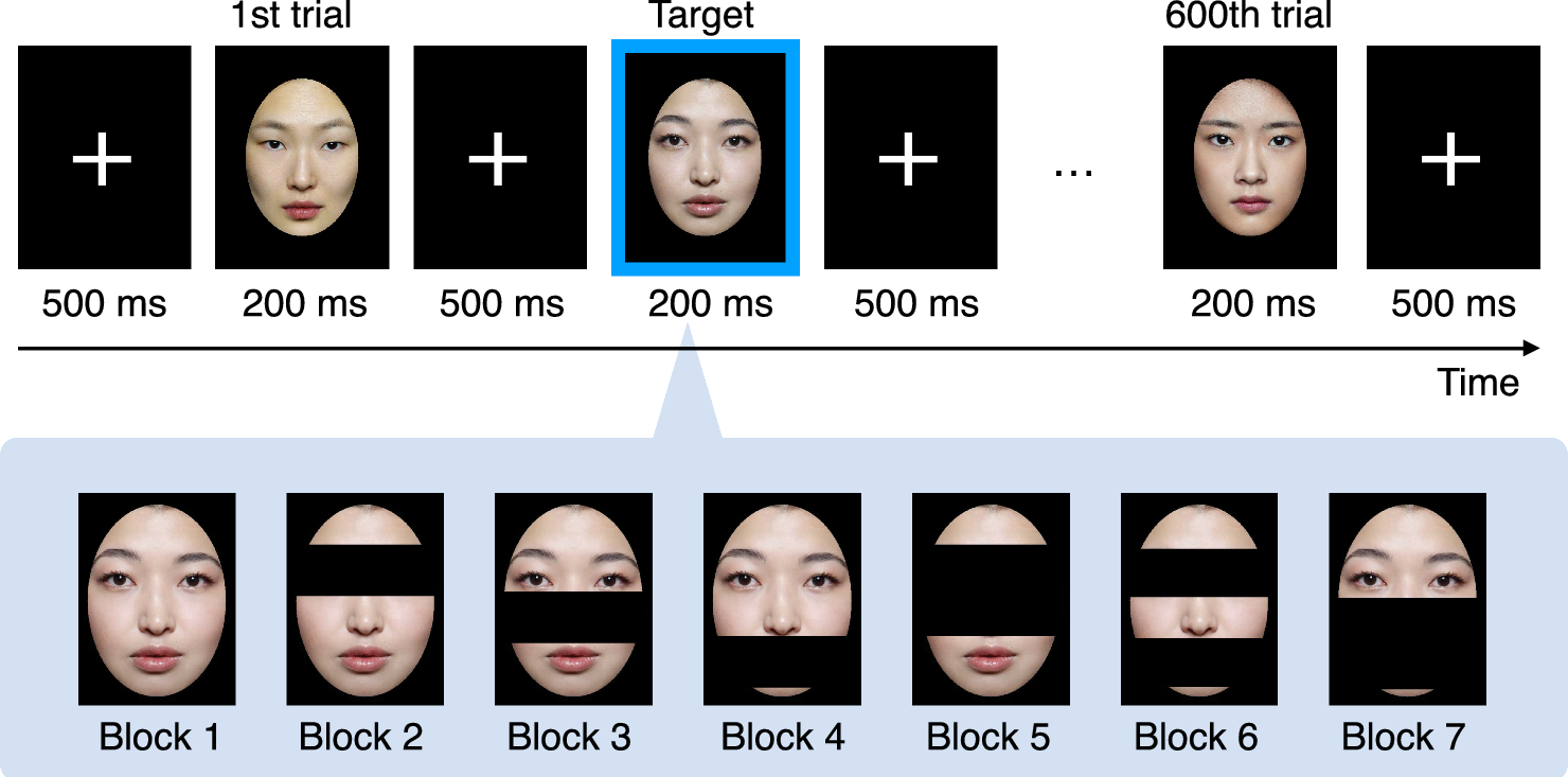 Partial face visibility and facial cognition: event-related potential and eye tracking investigation