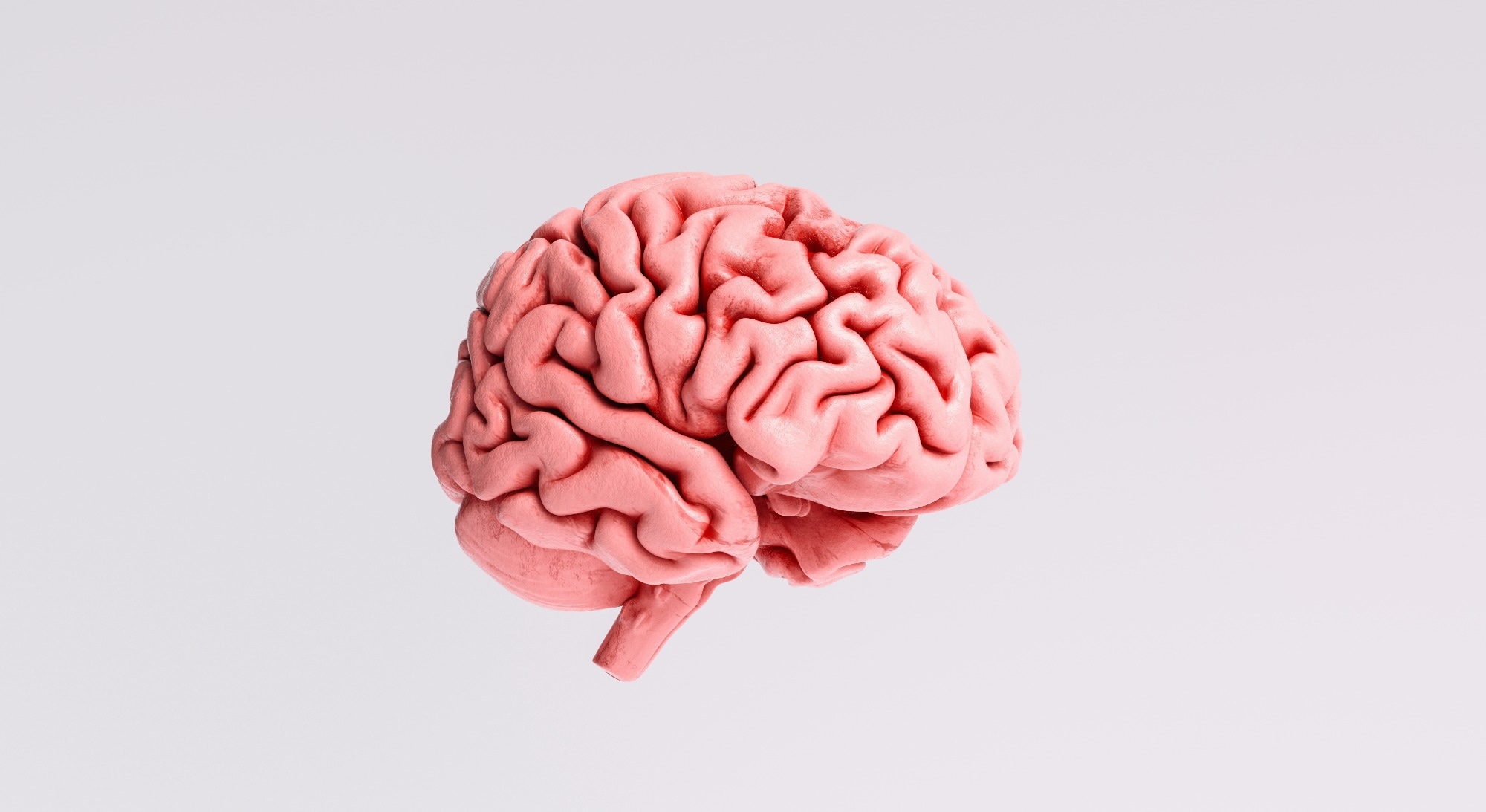 Study shows brain estrogen directly regulates appetite in mice