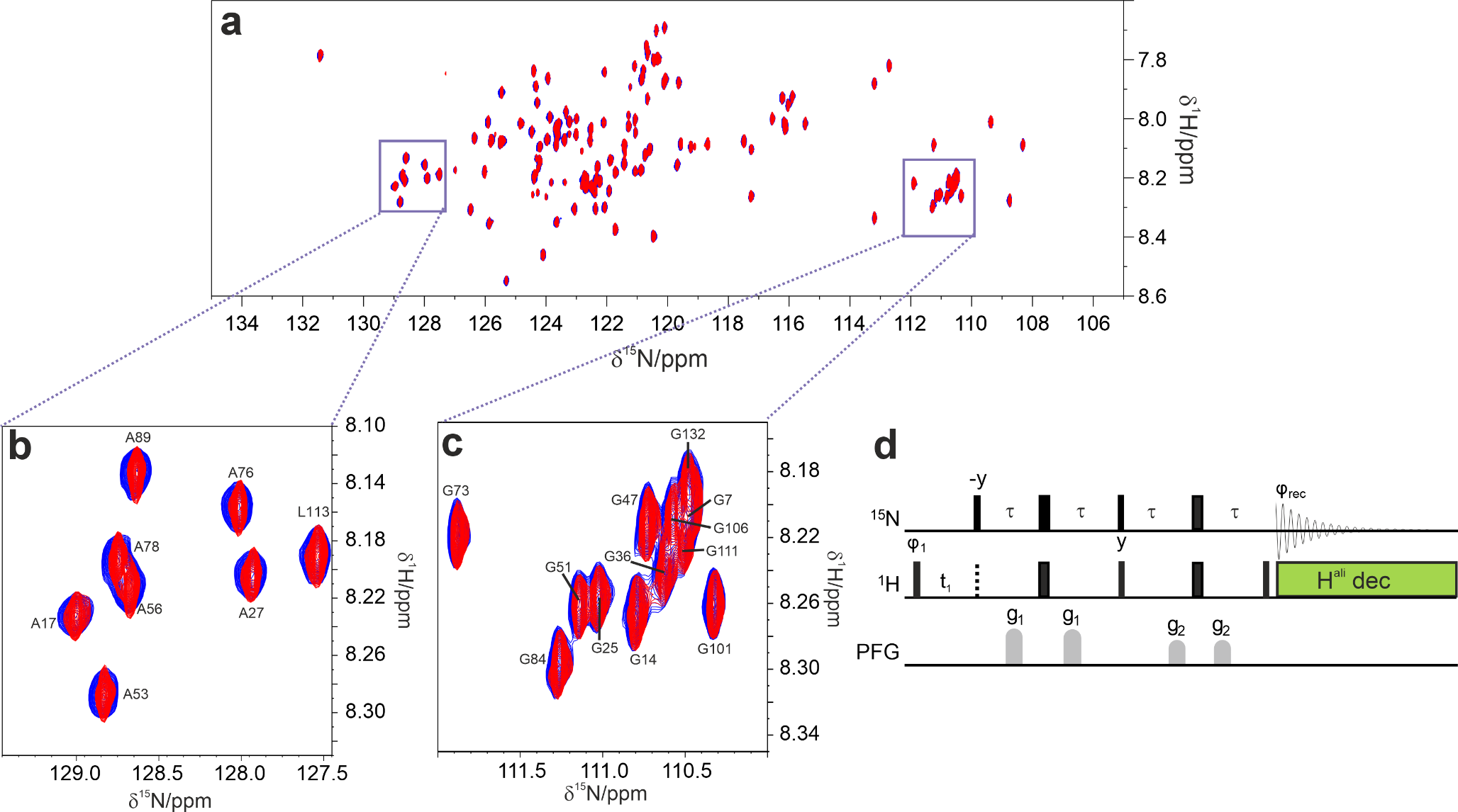N-detected TROSY for H-N heteronuclear correlation to study intrinsically disordered proteins: strategies to increase spectral quality