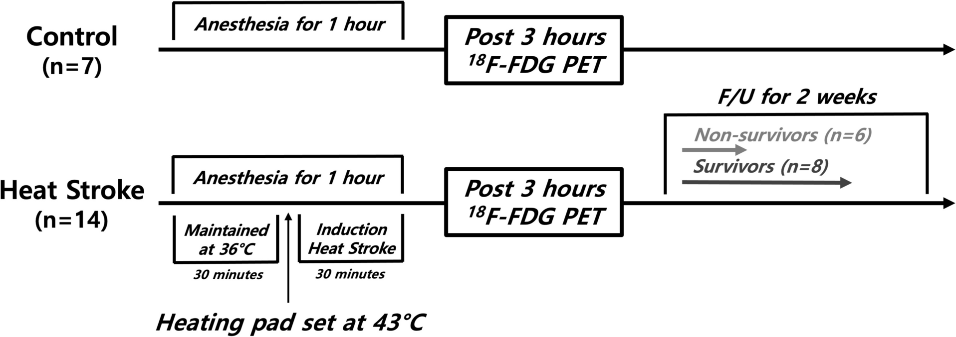 Assessment of Heat Stroke-Induced Brain Injury: A Preclinical Study with a Rat Model Using F-FDG Brain PET