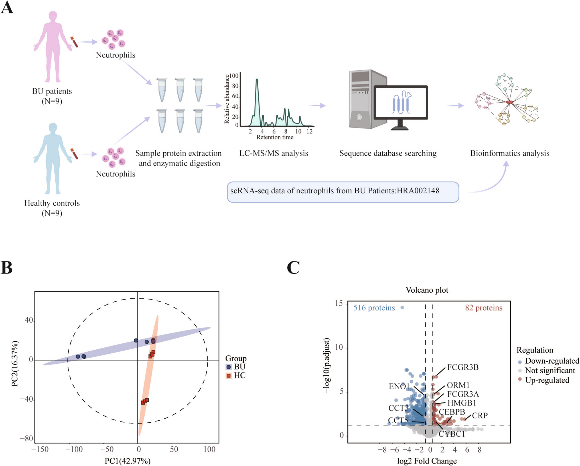 Proteomic Profiles of Neutrophils from Behcet’s Uveitis Patients and their Sex Differences