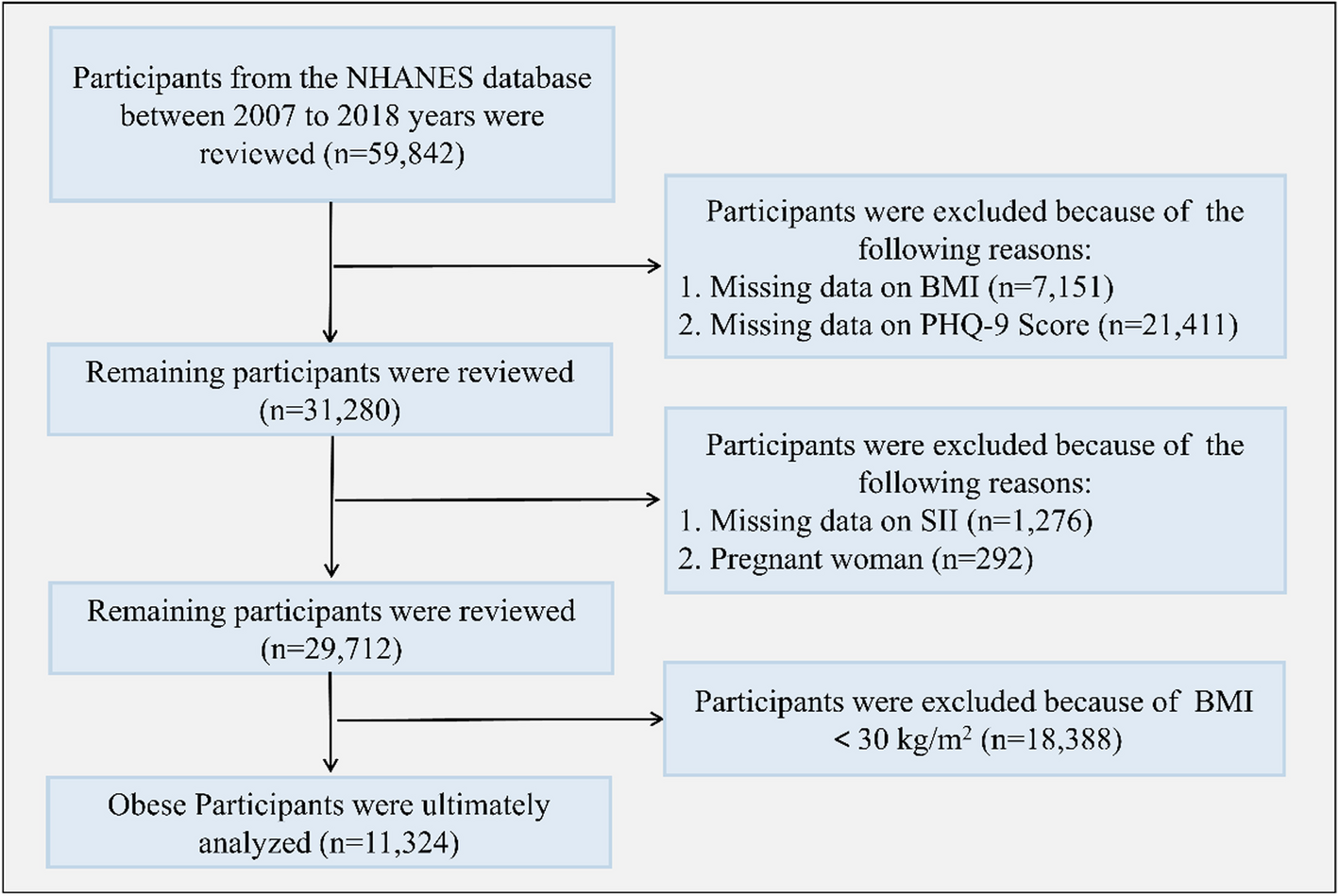 Systemic inflammation as a mediator in the link between obesity and depression: Evidence from a nationwide cohort study