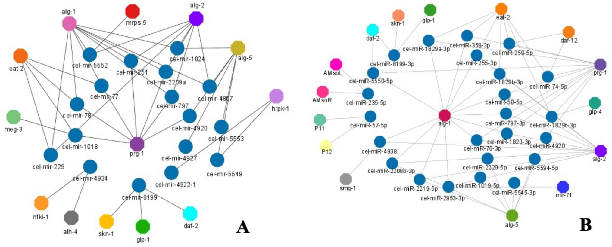 Leaf miRNAs of  Negatively Regulate the Aging-Associated Genes in