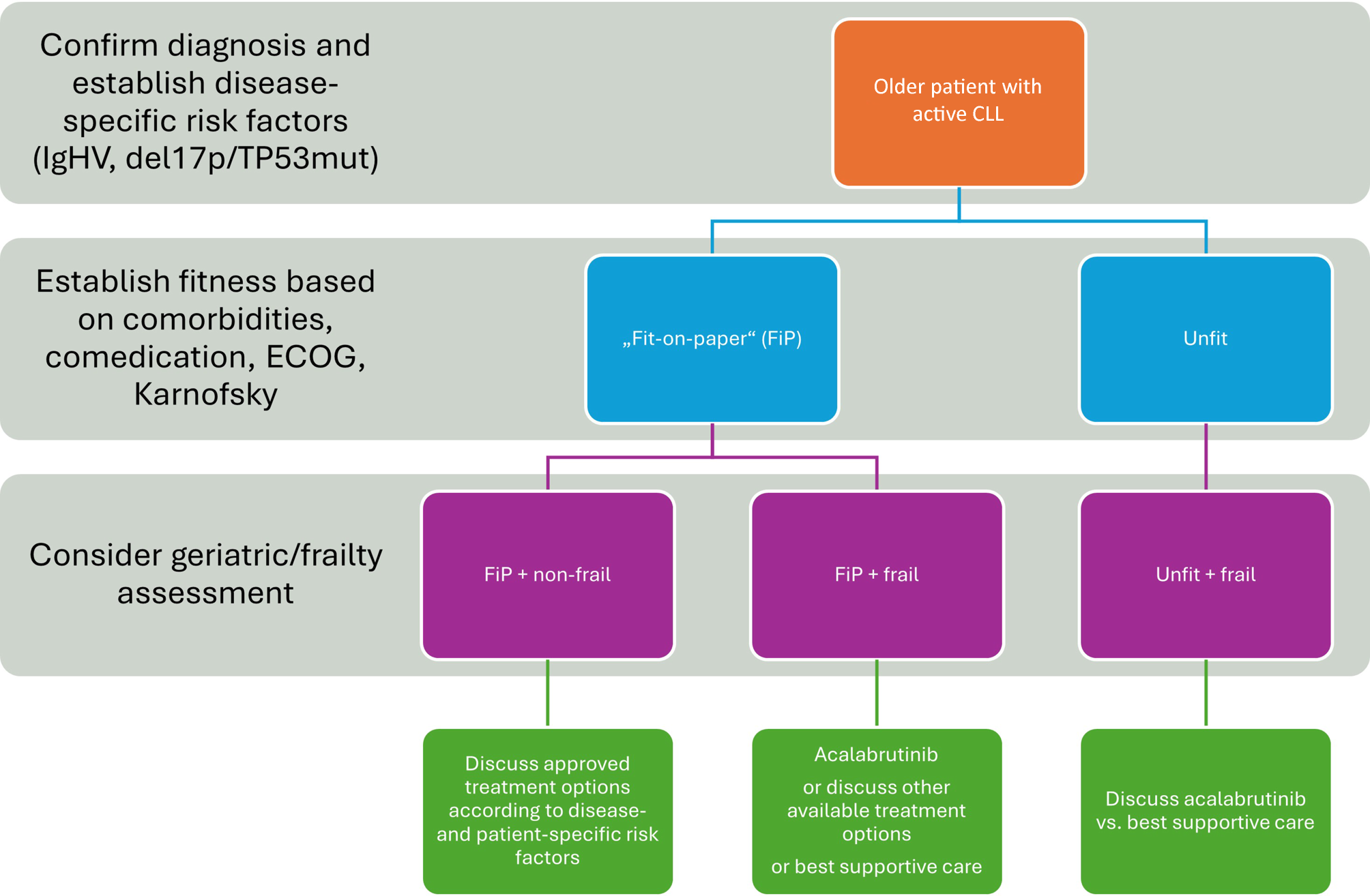 Too frail or not too frail? Prognosis and treatment options in older CLL patients