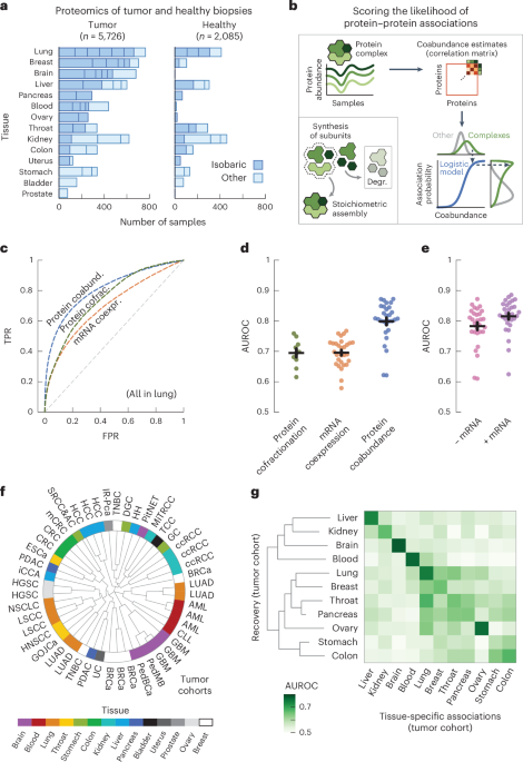 A tissue-specific atlas of protein–protein associations enables prioritization of candidate disease genes
