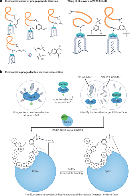 Fishing for covalent peptides