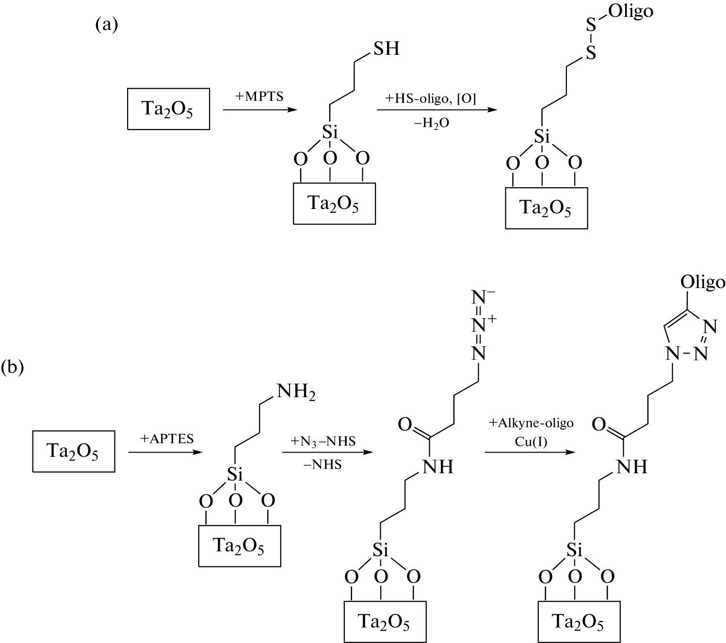 Optimization of Covalent DNA Immobilization for Contact Printing Method