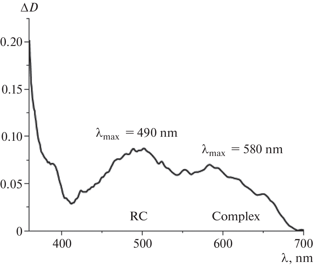 Photochemistry of Methyl Formate Radical Cations in Frozen CFCl Matrices