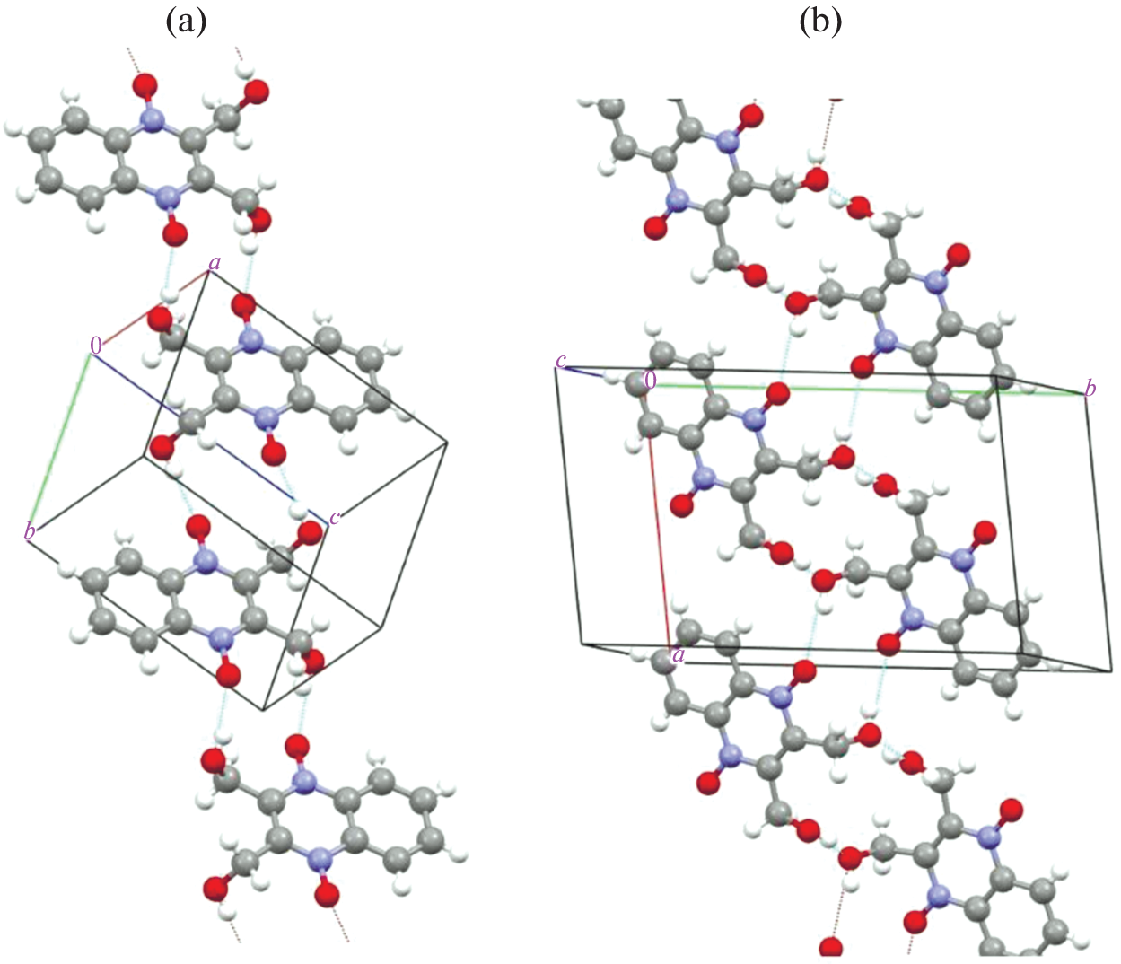 DFT Study of Dioxidine Oligomer Formation in the Gas Phase and CO Environment