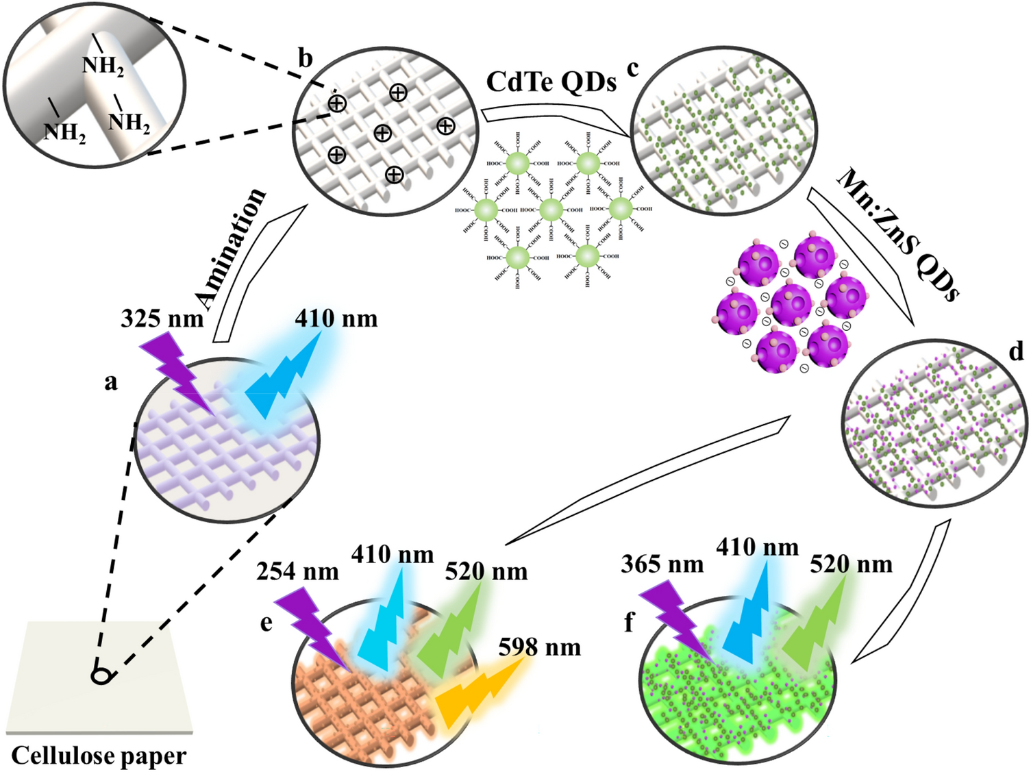 Auto-Fluorescence Cellulose Paper Based on High Affinity of Sodium Lignosulfonate for Microfluidic Detection Platform