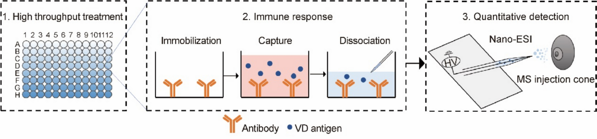 Affinity Capture Coupled with Nano-Electrospray Ionization-Mass Spectrometry for Rapid Detection of 25-hydroxyvitamin D3 in Serum