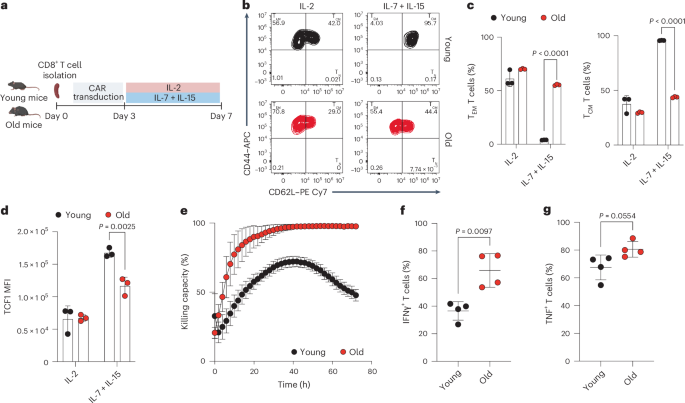 Age-associated nicotinamide adenine dinucleotide decline drives CAR-T cell failure