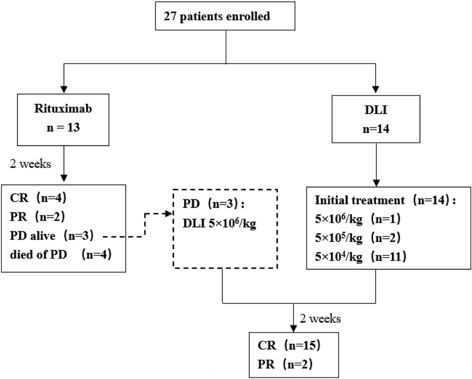 Reduced-dose donor lymphocyte infusion is a viable therapeutic strategy for Epstein–Barr virus-related post-transplant lymphoproliferative disease after hematopoietic stem cell transplantation: a single-center experience