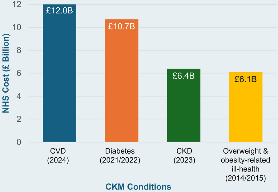 Advancing Cardiovascular, Kidney, and Metabolic Medicine: A Narrative Review of Insights and Innovations for the Future