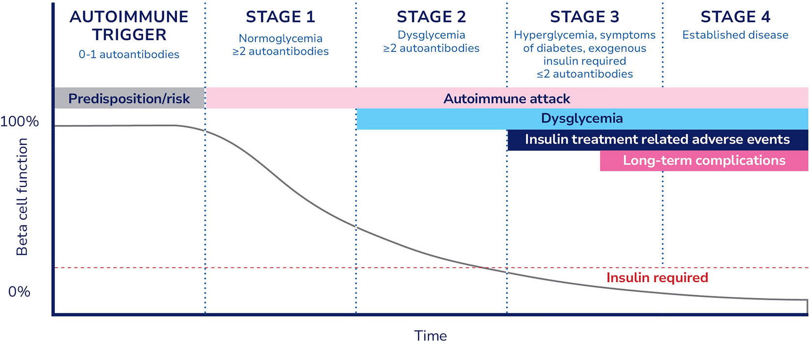 The Urgent Need for Breakthrough Therapies and a World Without Type 1 Diabetes
