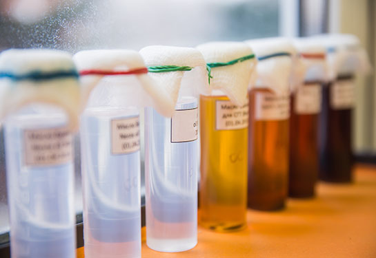 Do you want to help find a cure for cancer? Donate your data and biospecimens