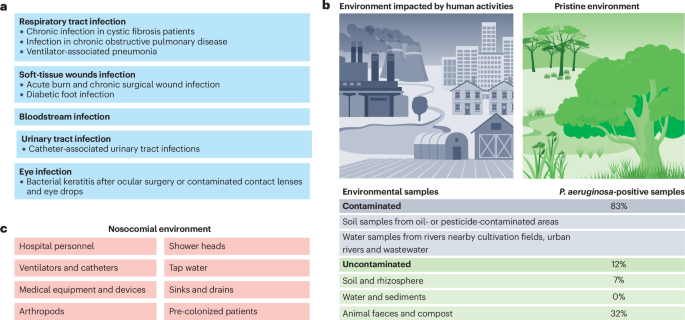 Pseudomonas aeruginosa: ecology, evolution, pathogenesis and antimicrobial susceptibility