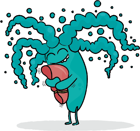 A gut fungus protects the liver
