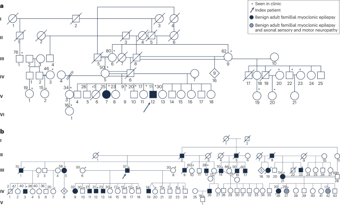 Advancing neurogenetics in Africa: past achievements, current developments and shaping the future