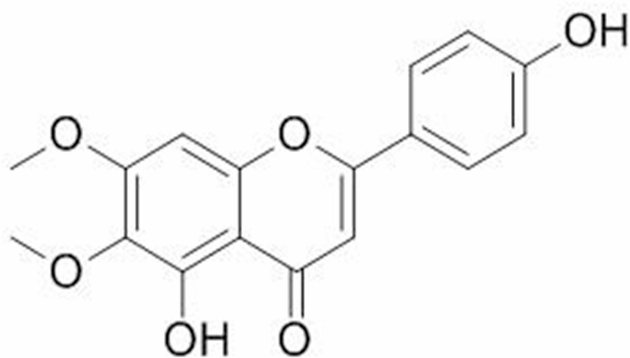 Modulation of inflammatory, oxidative, and apoptotic pathways by cirsimaritin in colitis: A mechanistic approach