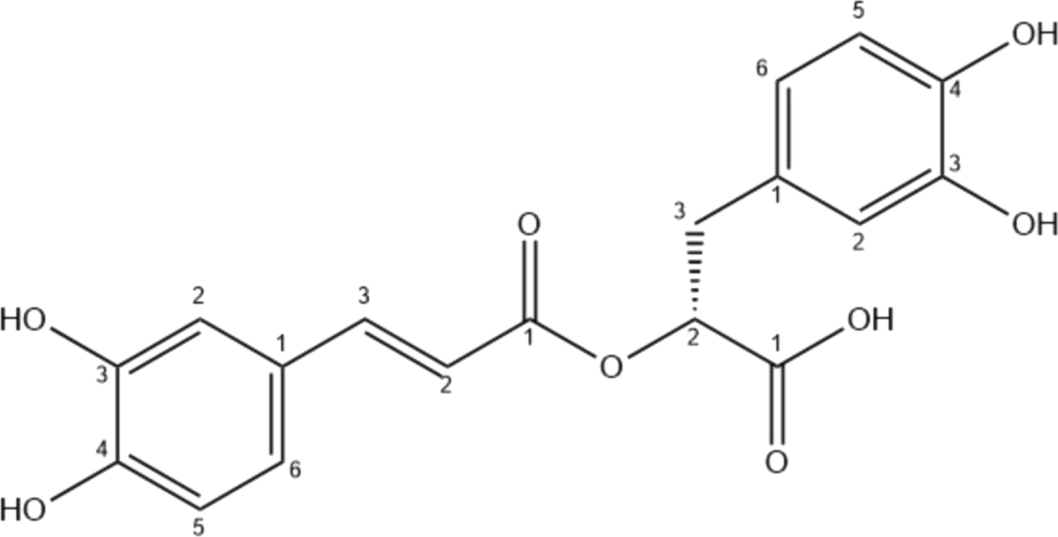 Rosmarinic acid rich fraction from  (Blume) Miq. leaves induces apoptosis by inhibiting the rapamycin signalling pathway