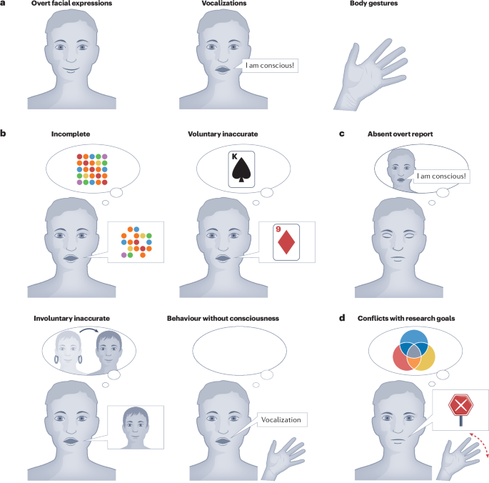 Sleuthing subjectivity: a review of covert measures of consciousness