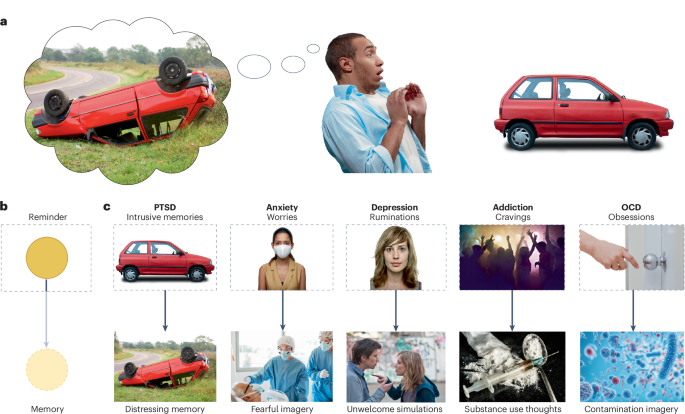 Brain mechanisms underlying the inhibitory control of thought