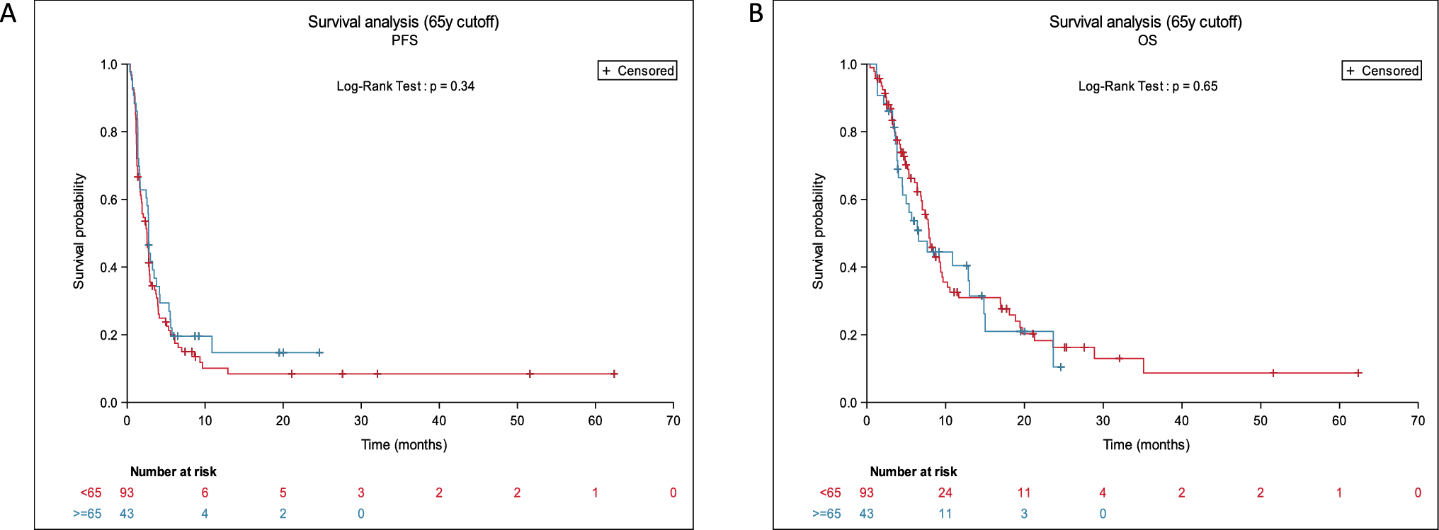 Age Does not Affect the Efficacy of Antibody Drug Conjugates, But is Associated with High-Grade Adverse Events in Patients with Cancer Enrolled in Early Phase Clinical Trials